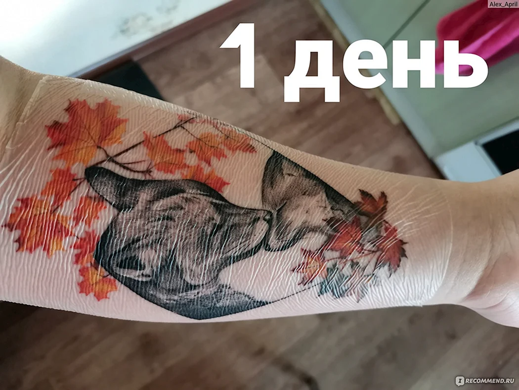 Заживление тату под пленкой