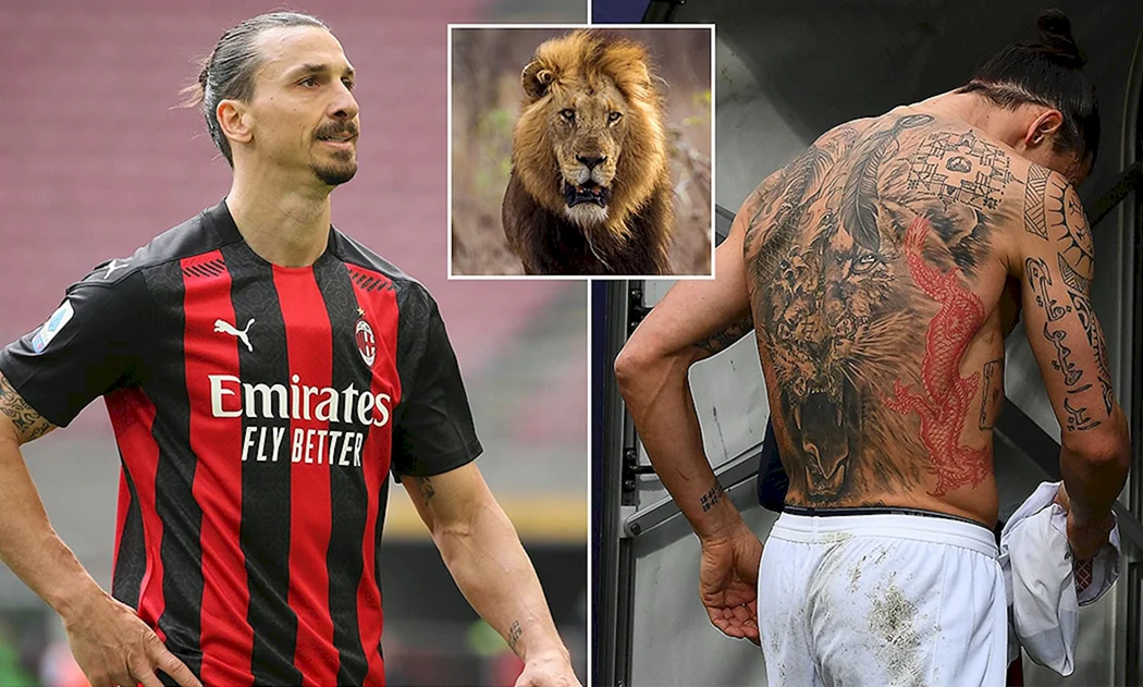 Тату Ибрагимовичу 2022