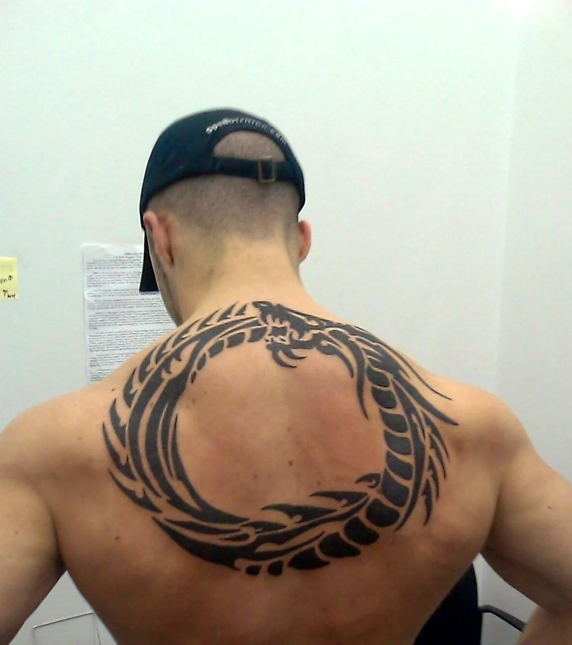 Уроборос тату на спине