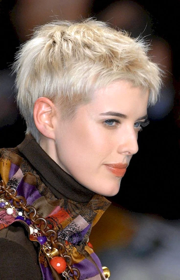 Агнесс Дейн стрижка