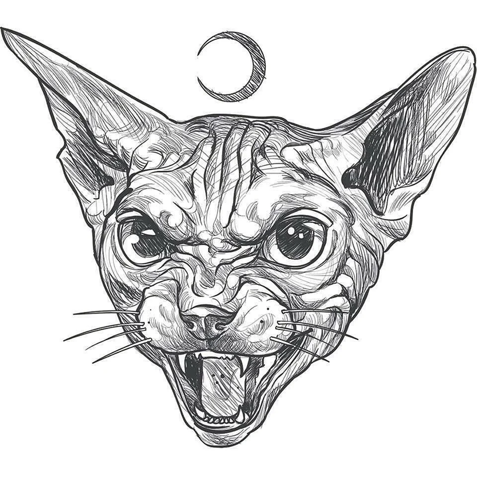 Сфинкс лайнворк