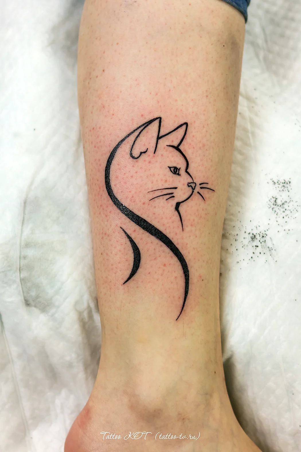 Тату кошка на руке для девушек