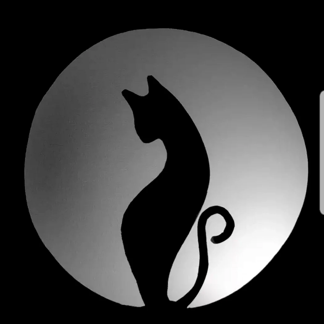 Силуэт грациозной кошки