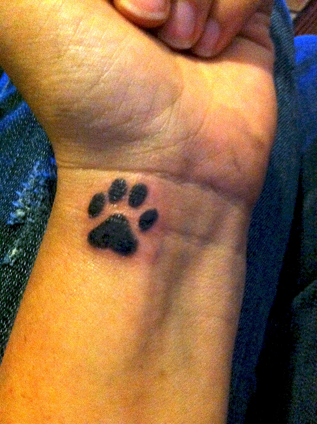 Тату лапки