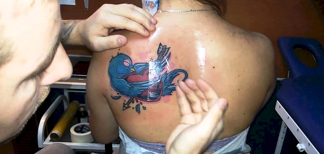 Suprasorb f 15 см х 30 см