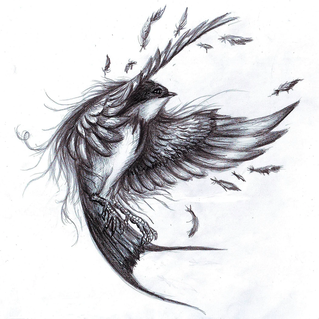 Птица эскиз