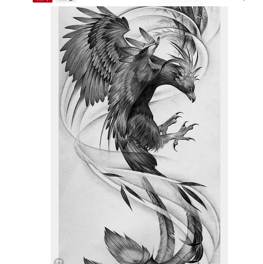 Феникс эскиз