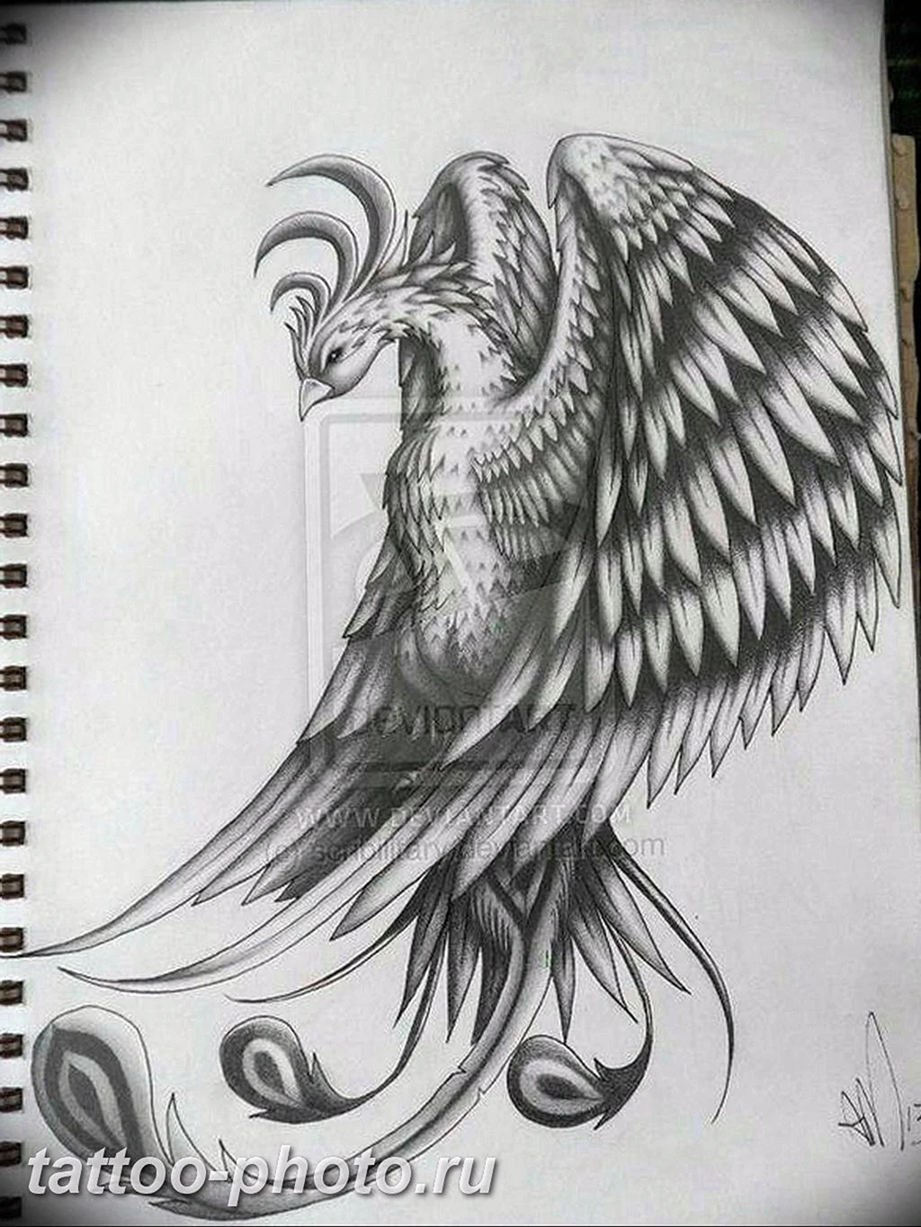 Феникс эскиз Татуировки черно белые