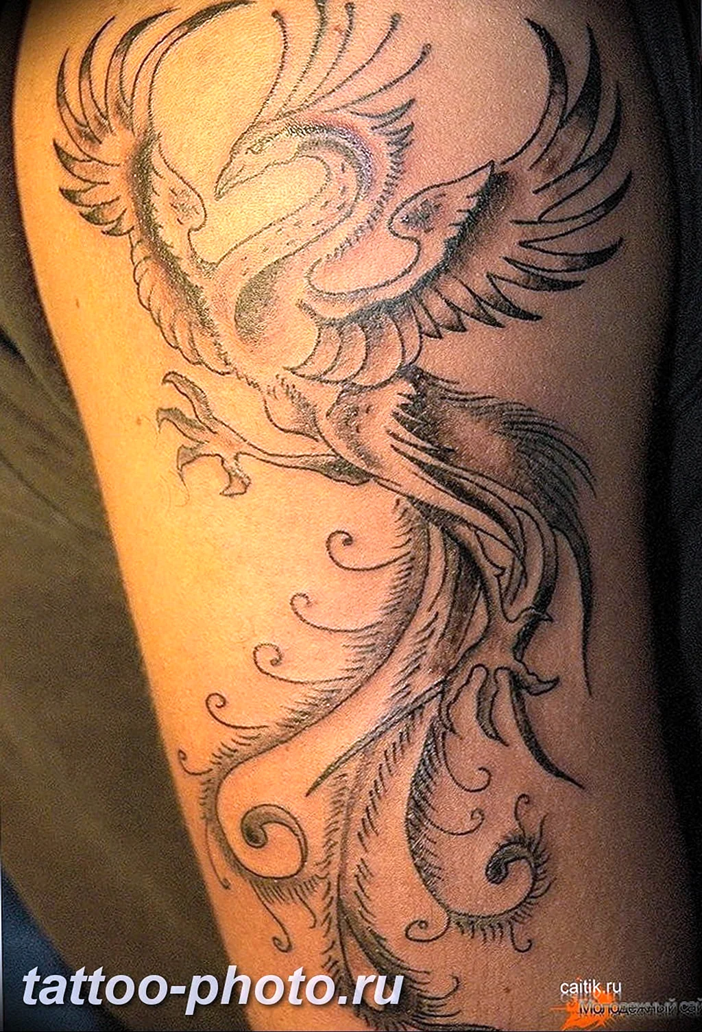 Птица Феникс тату