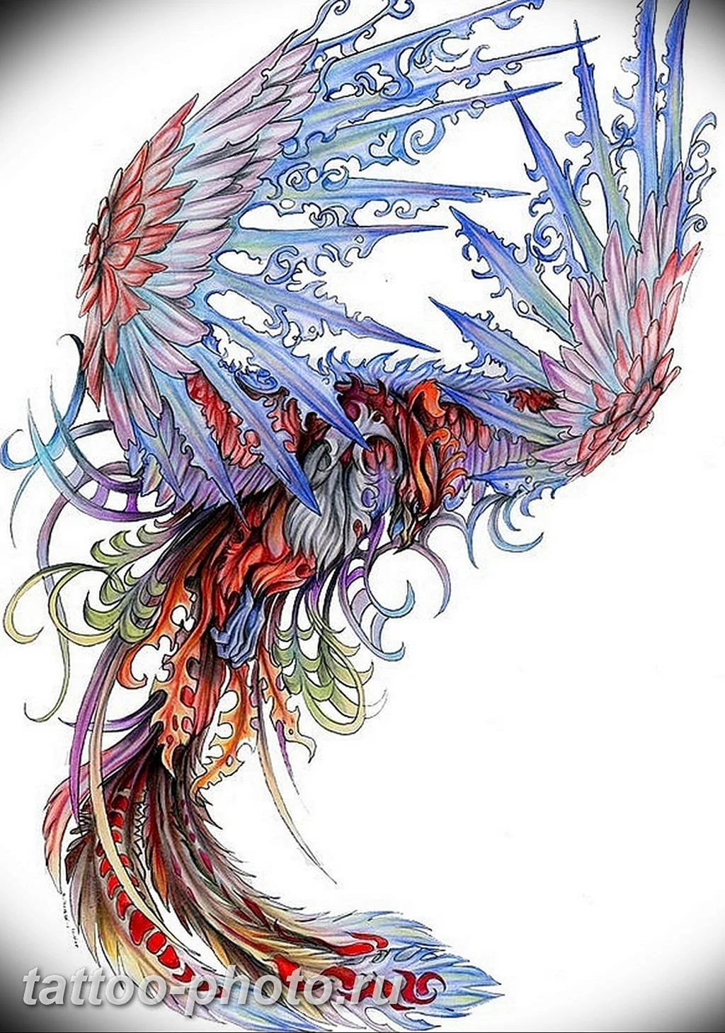 Феникс эскиз цветной