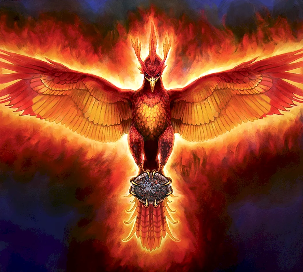 Сокол Феникс Рарог