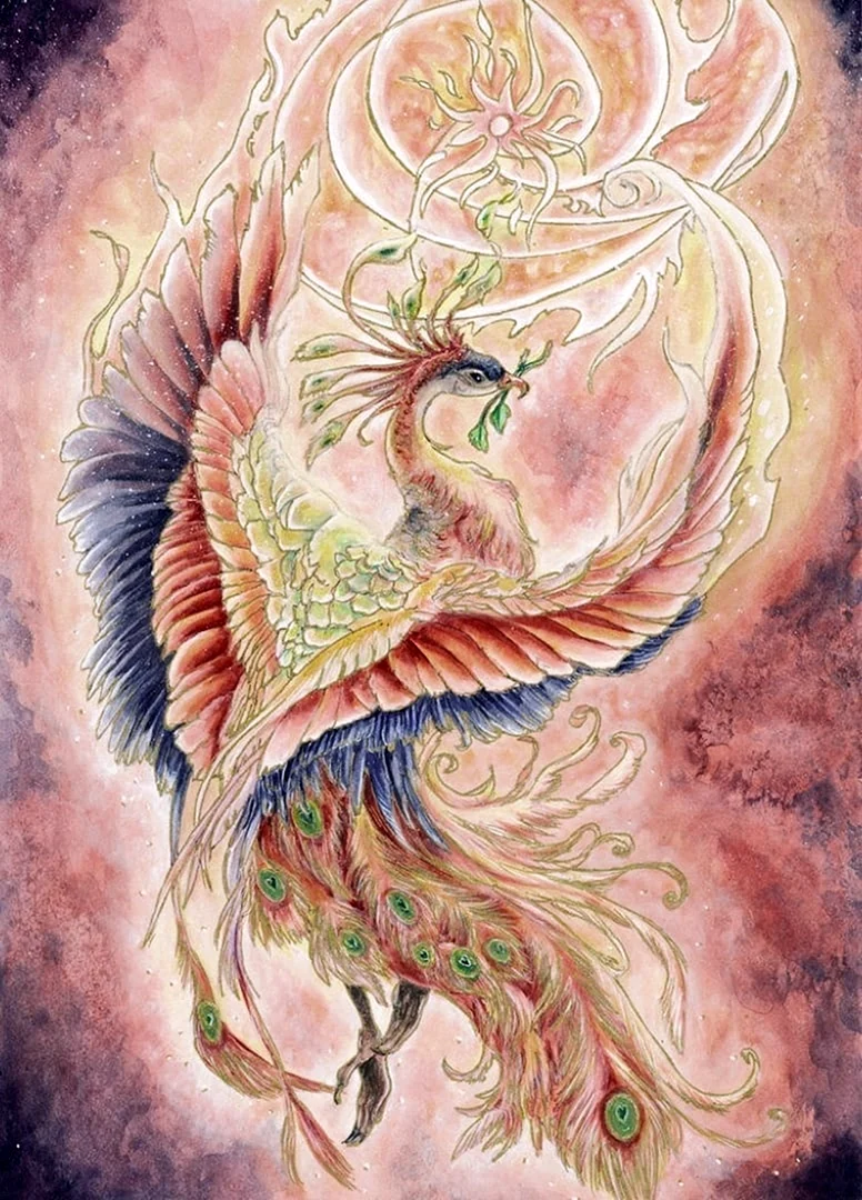 Феникс Анка