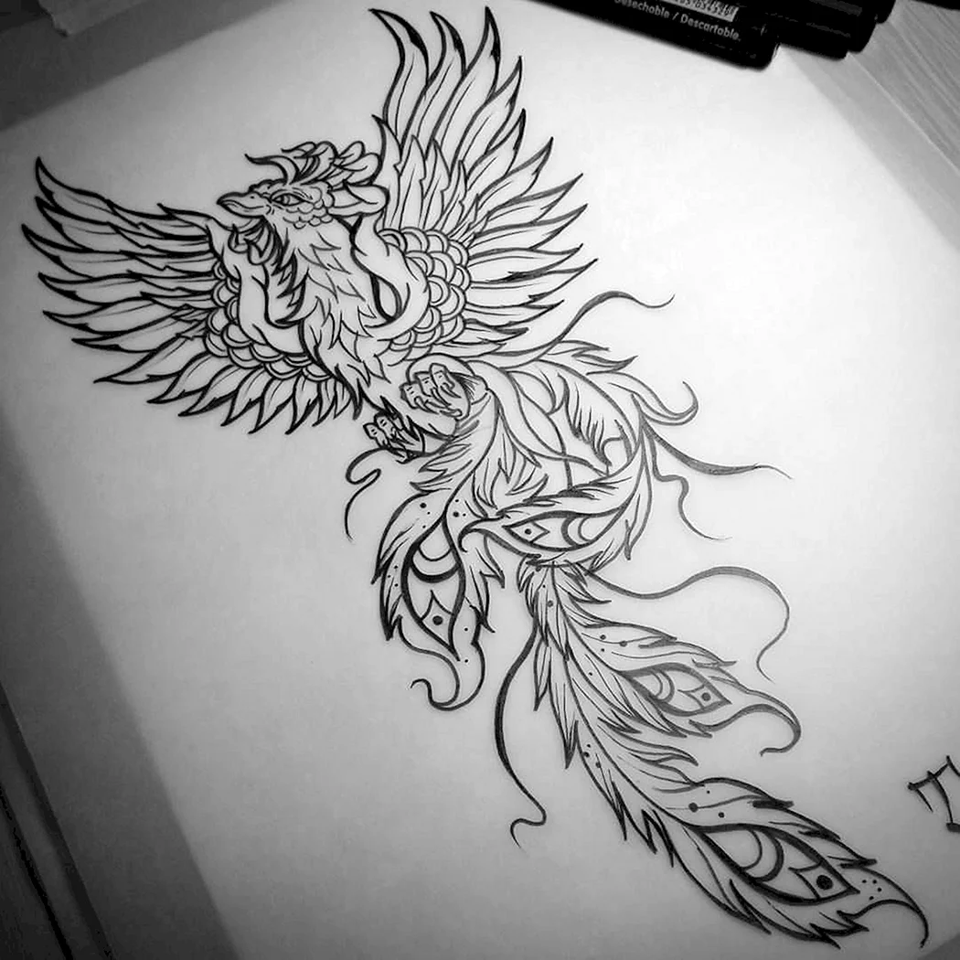 Феникс эскиз