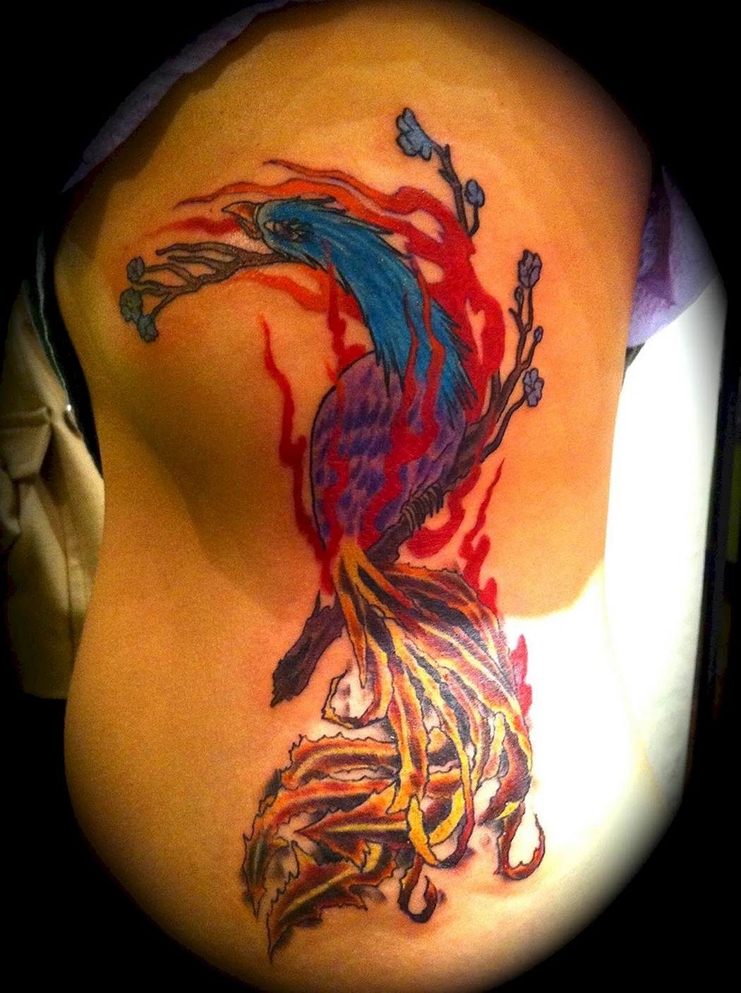 Тату Феникс на ребрах