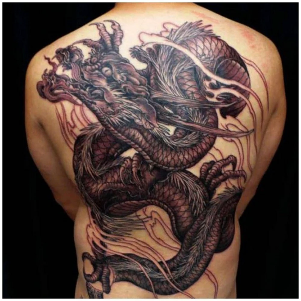 Тату дракон на спине
