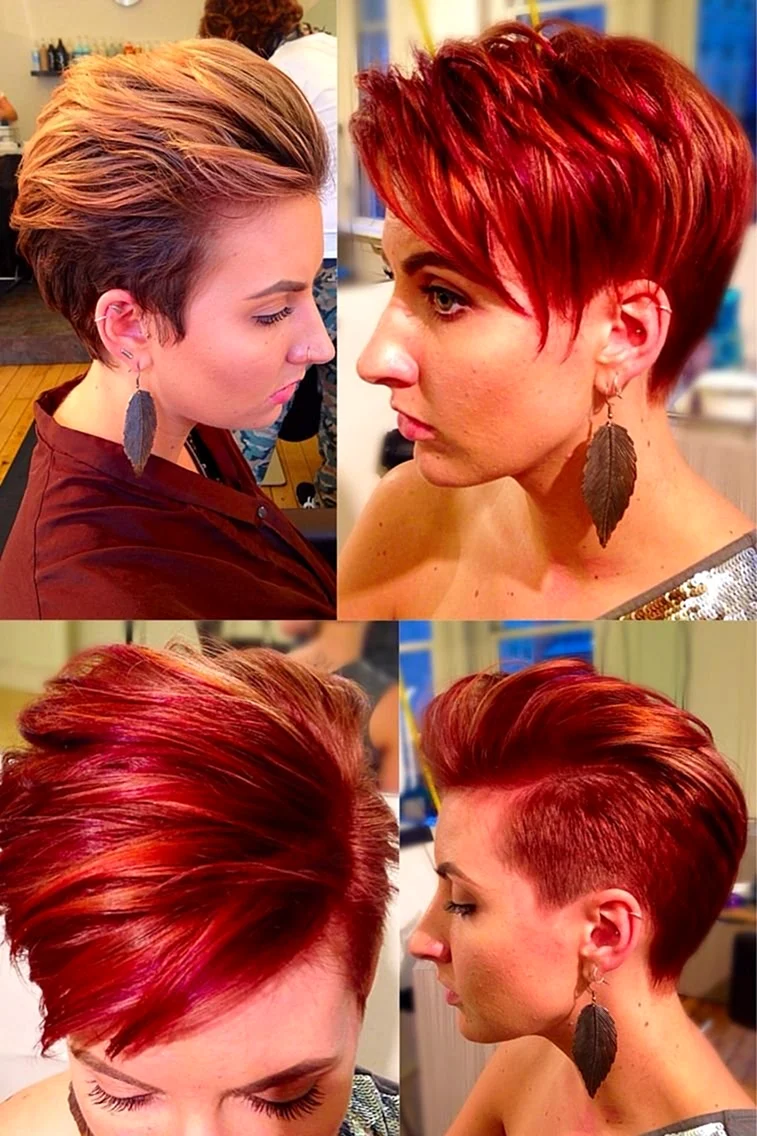 Pixie Bob стрижка красный