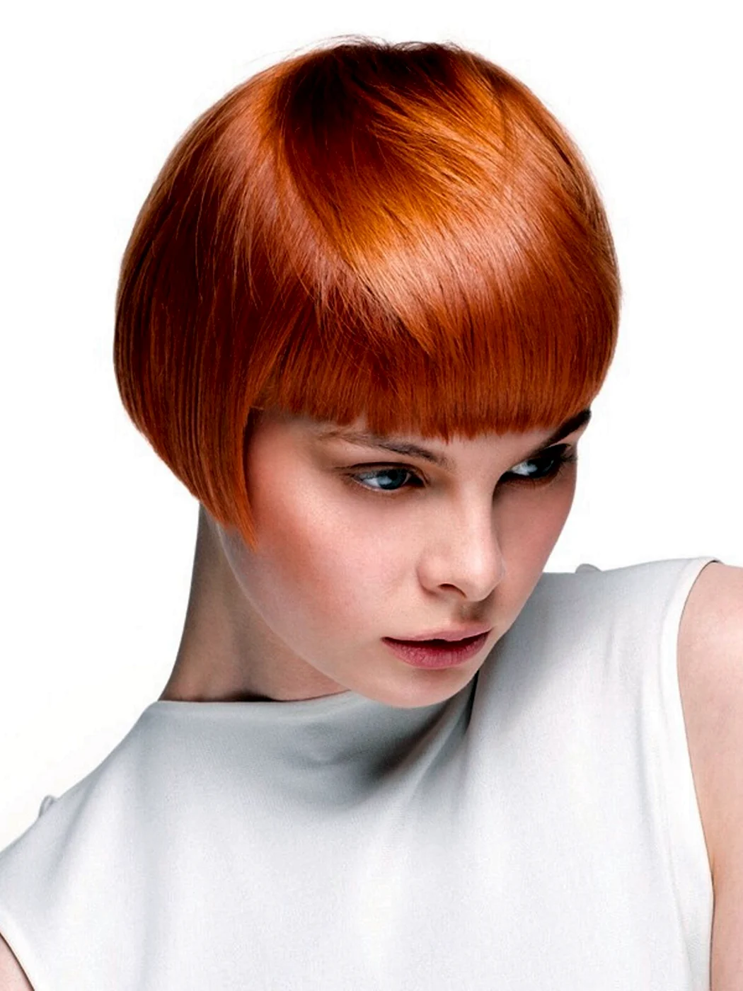 Пикси рыжий 2020