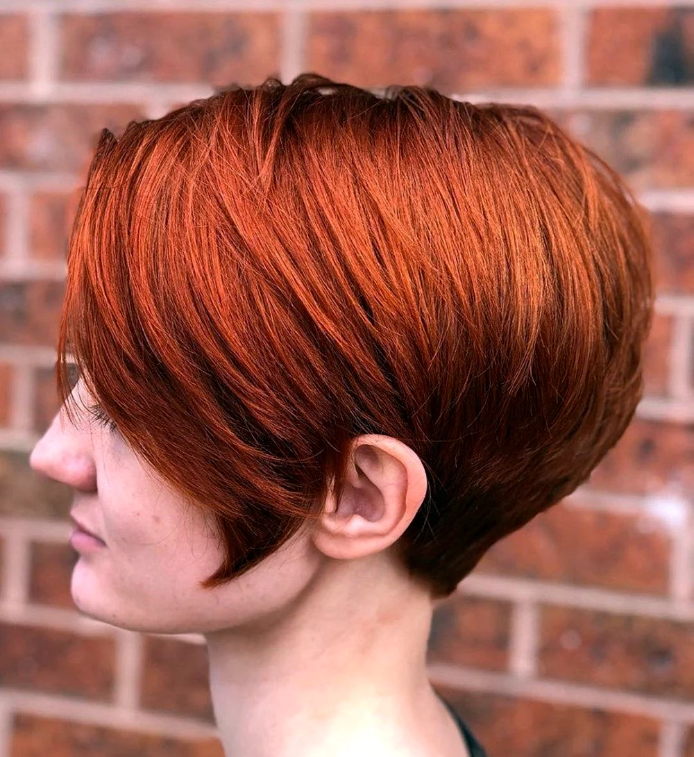 Стрижка Пикси-Боб рыжий
