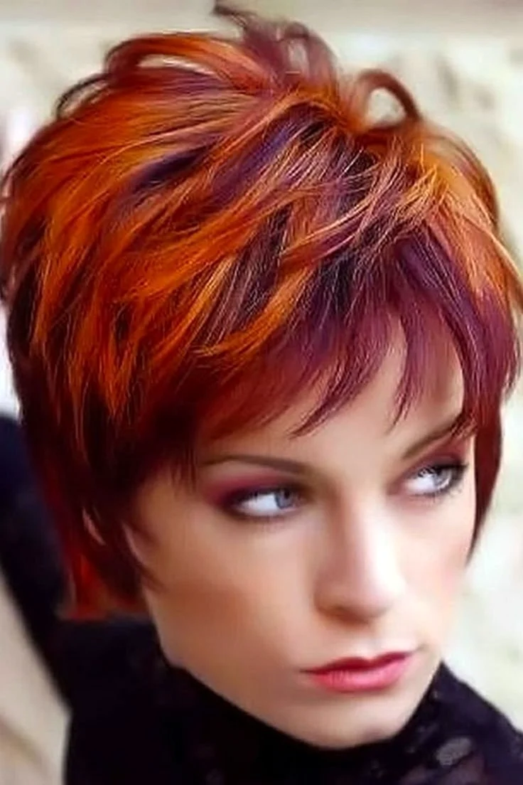 Стрижка Пикси-Боб рыжий