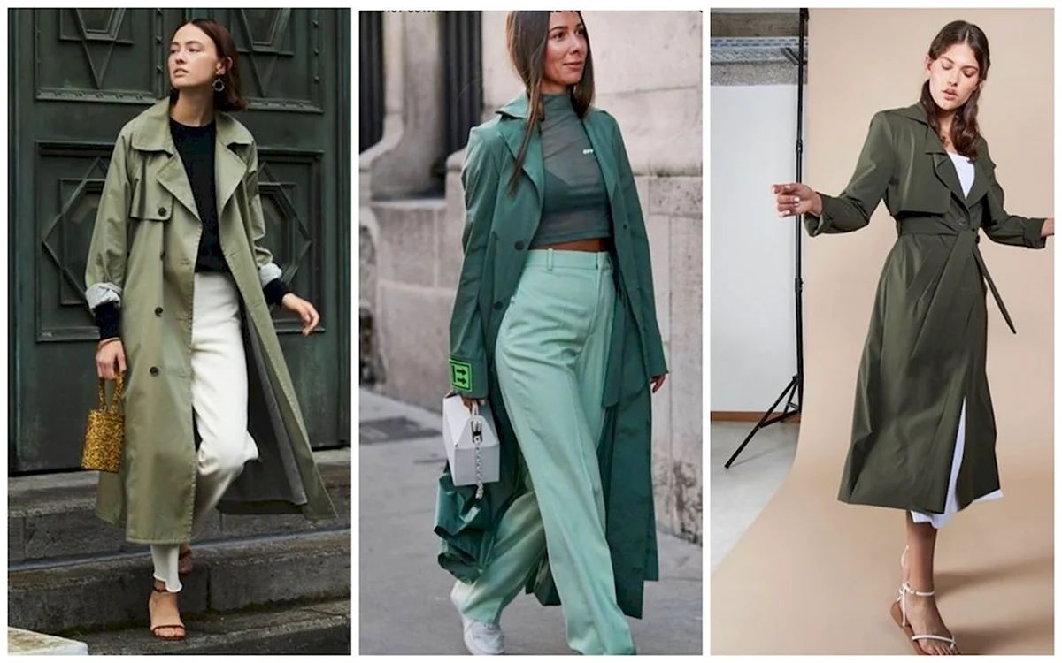 Лук с зеленым Тренчем