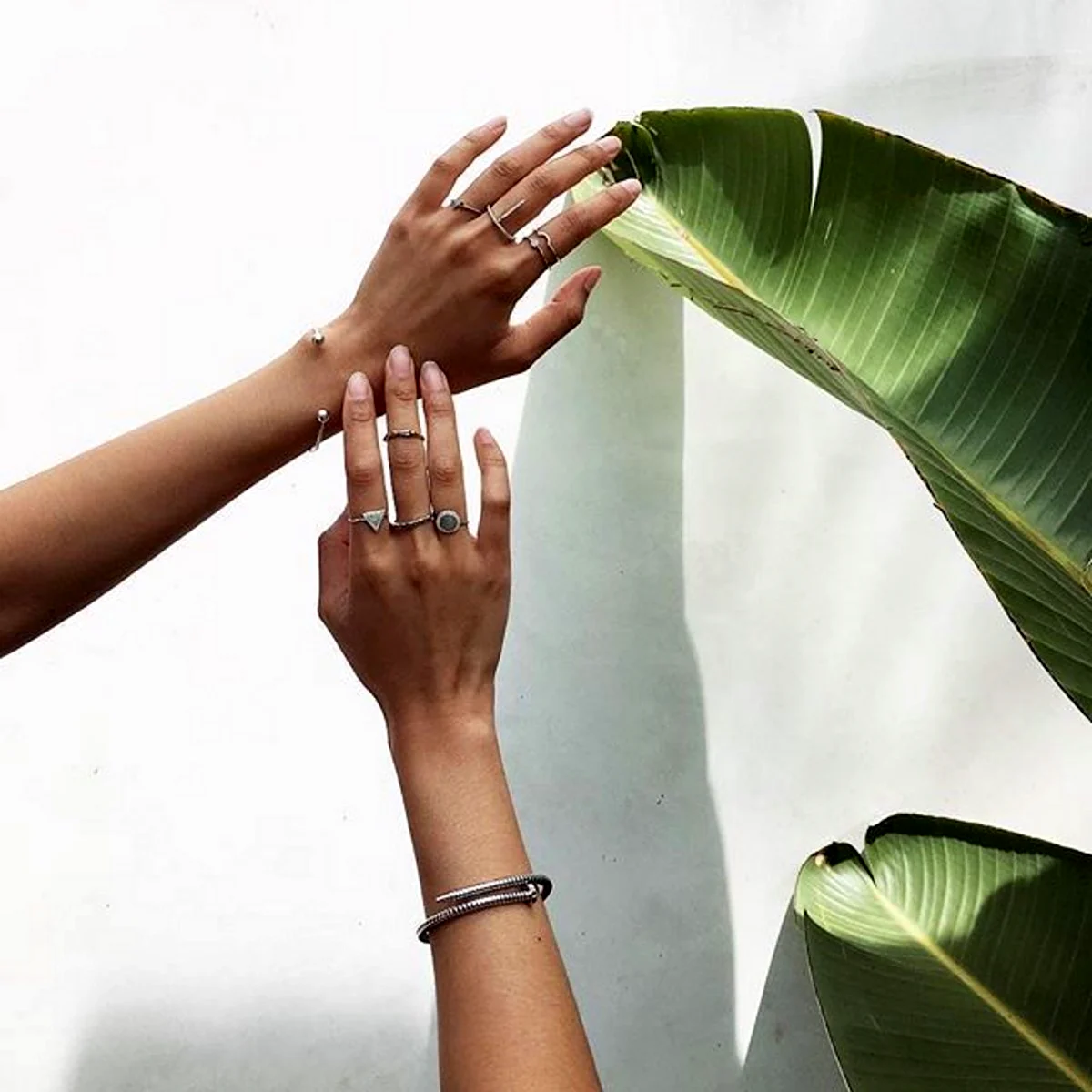 Красивые руки