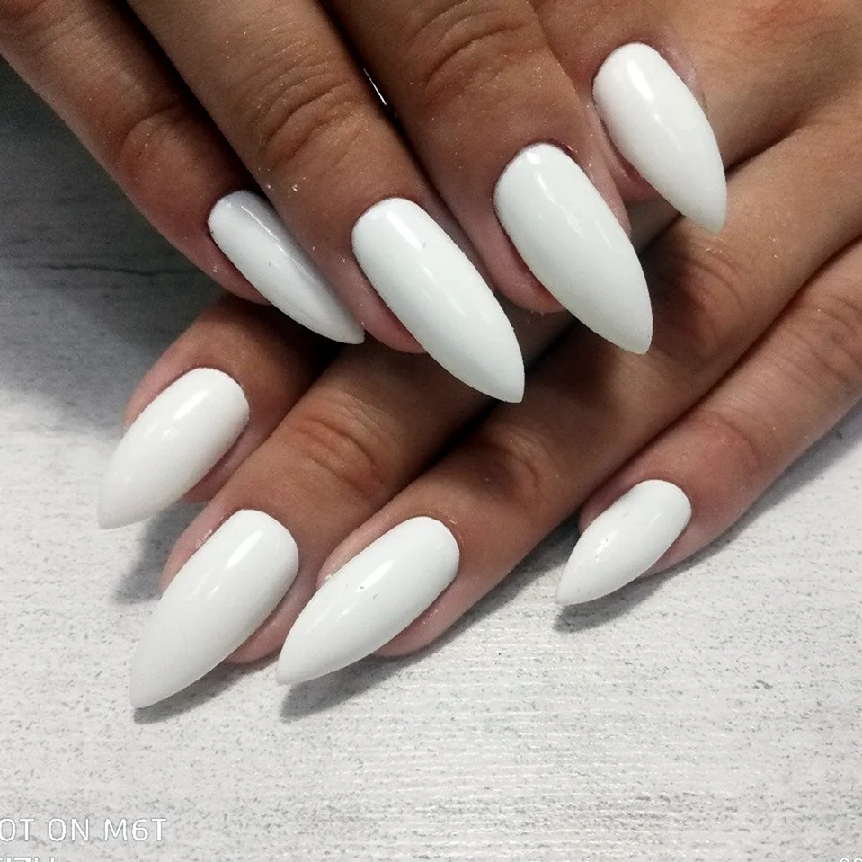 Миндаль белый и 2022