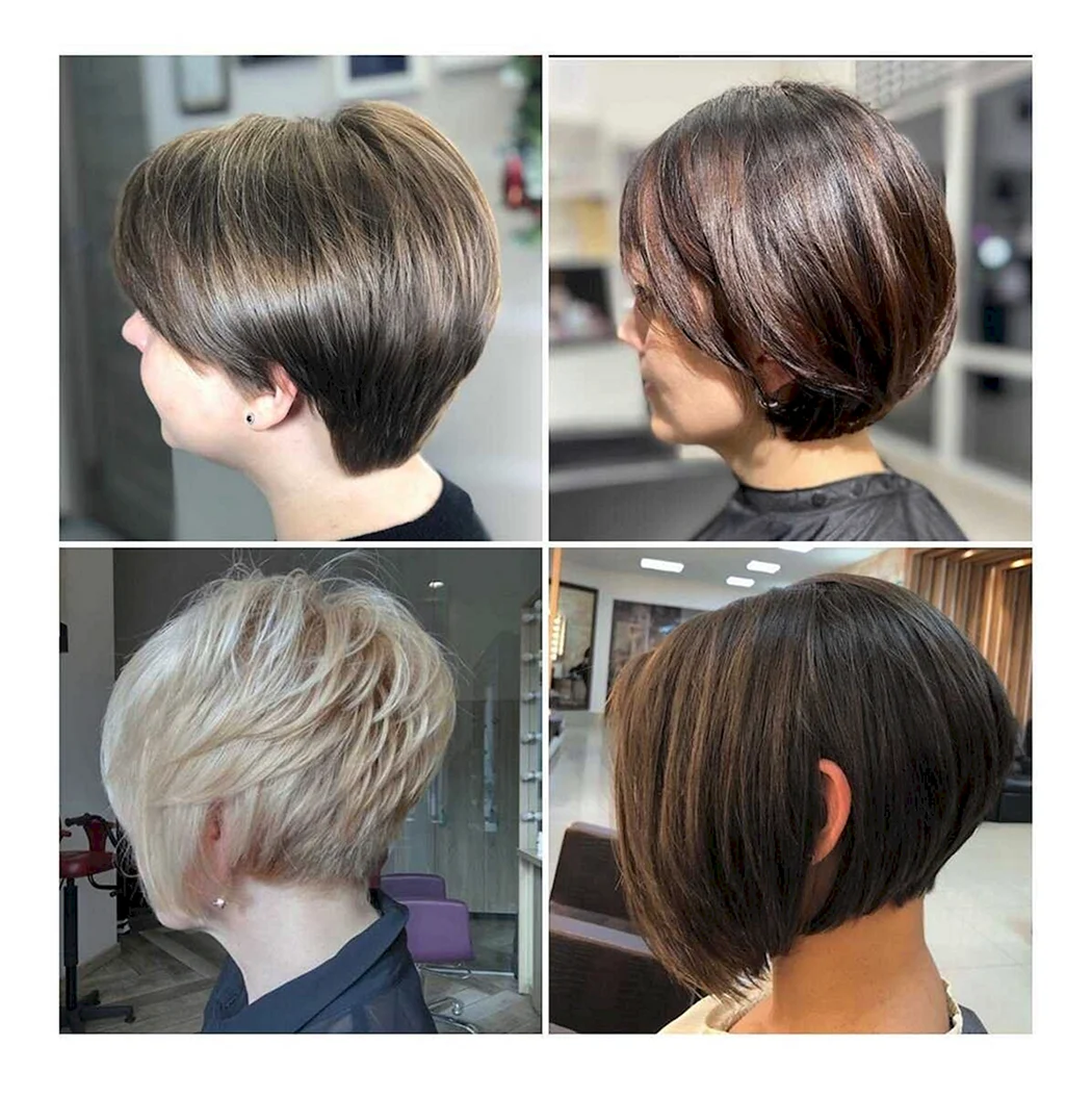 Стрижка Пикси Боб сзади