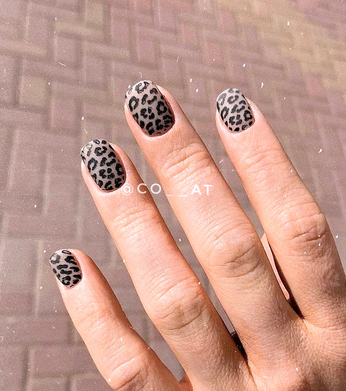 Матовый леопардовый маникюр