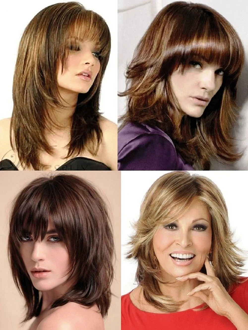 Стрижки рапсодия дебют итальянка