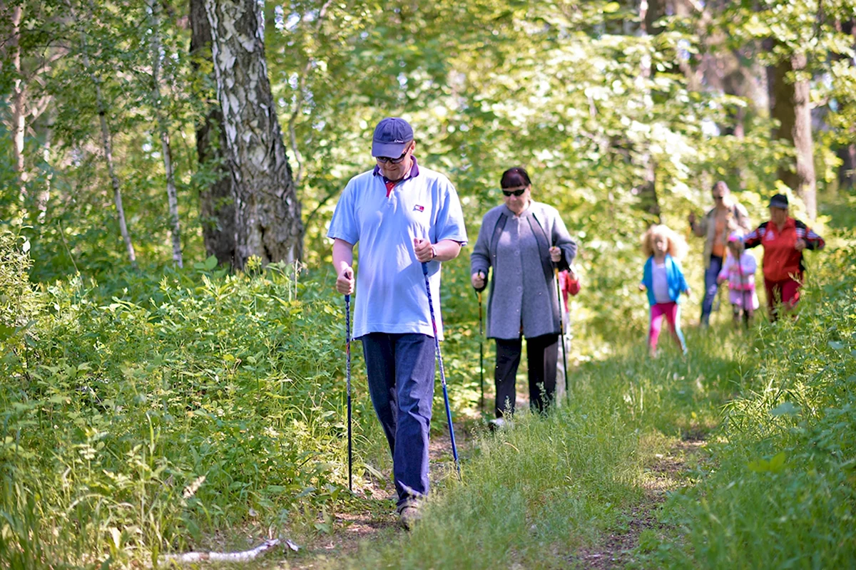 Пешие прогулки в лесу