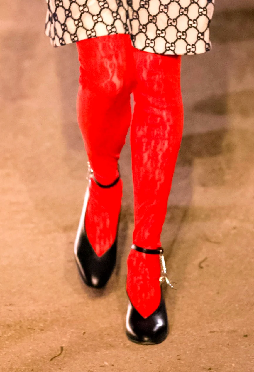 Цветные колготки гуччи