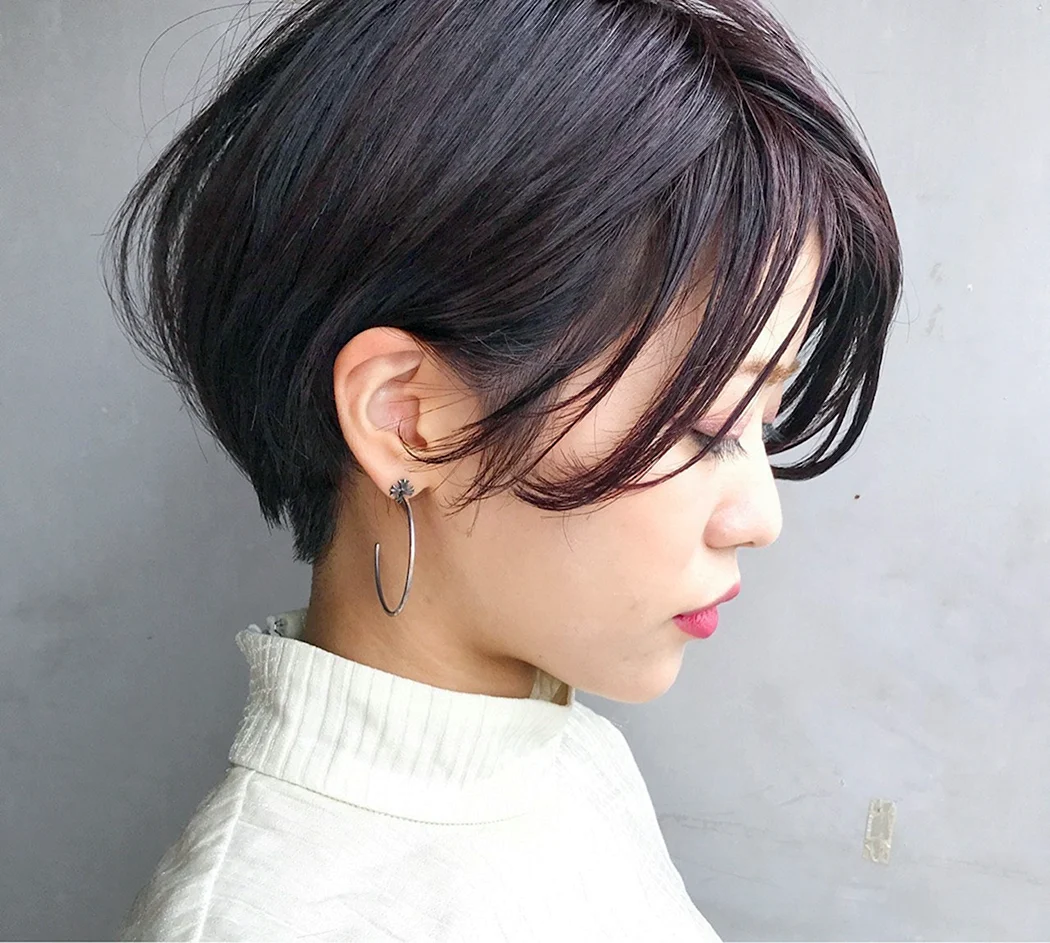 Pixie Bob стрижка Корея