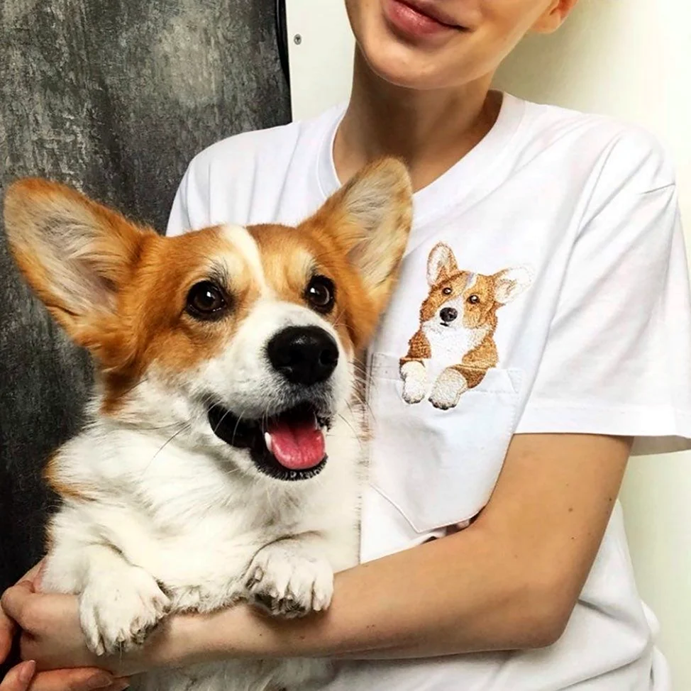 Федя Кукояка корги