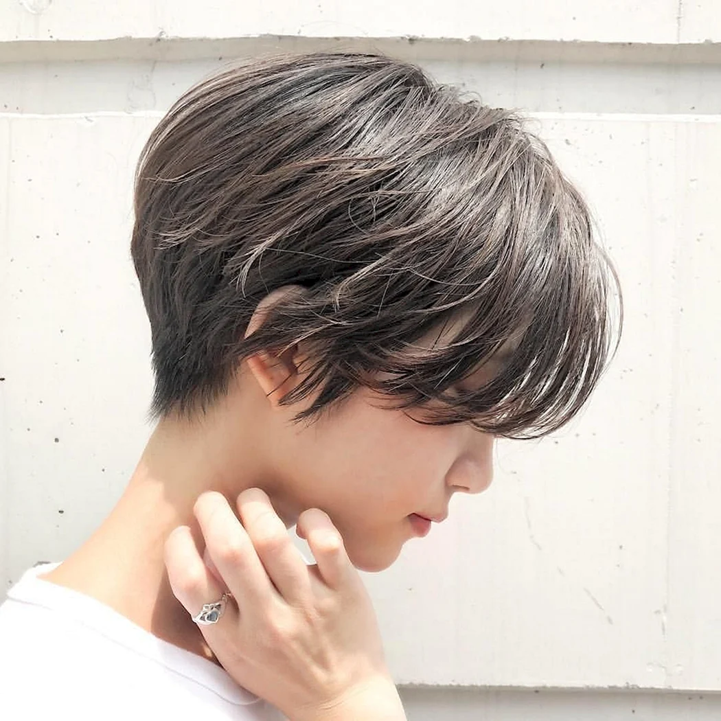 Pixie Bob стрижка Корея