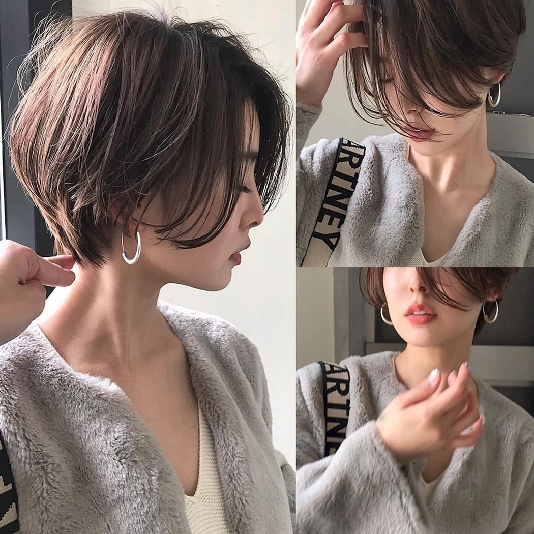 Томбой корейский Пикси Боб 2021