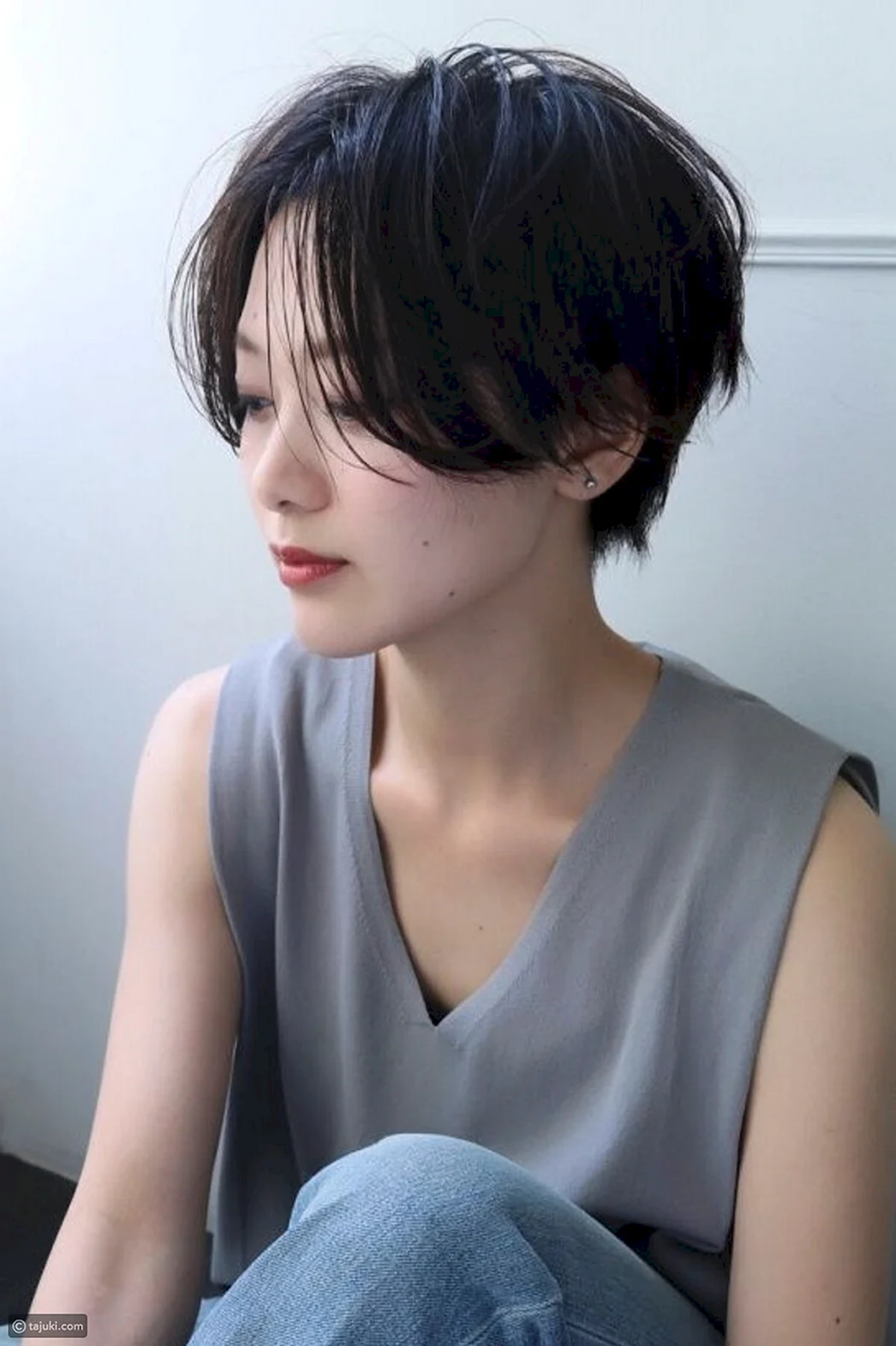 Pixie Bob стрижка Корея женская