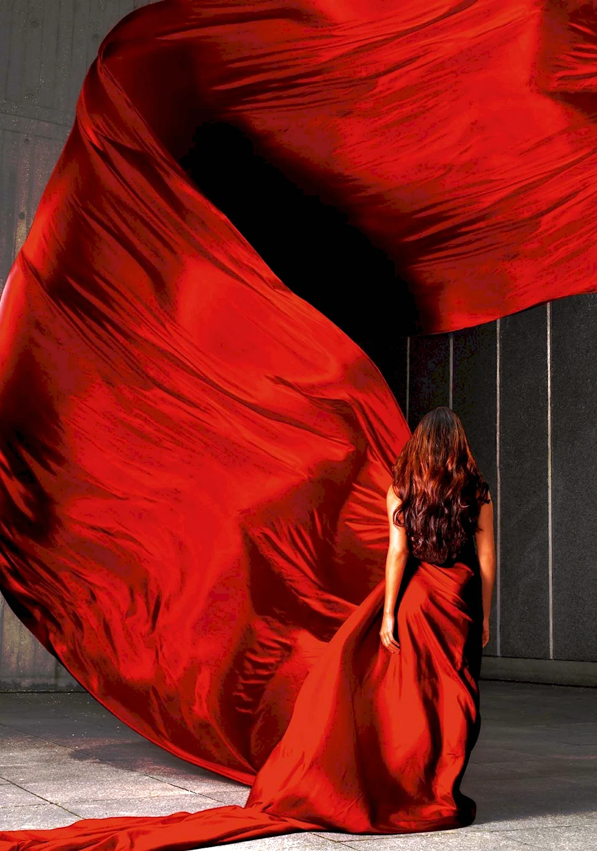 Девушка в Красном платье со спины