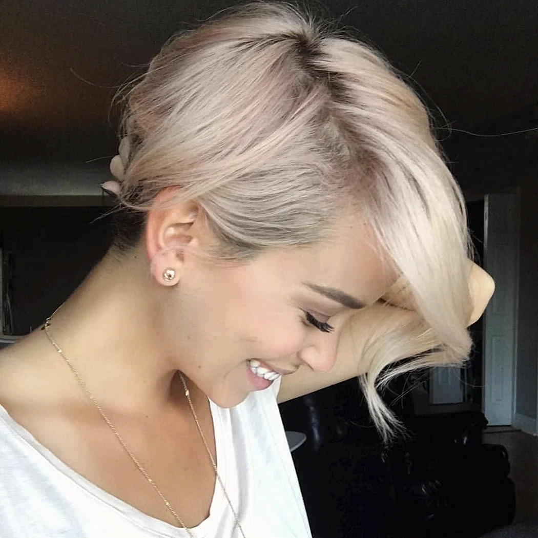 Пикси Боб жемчужный блонд