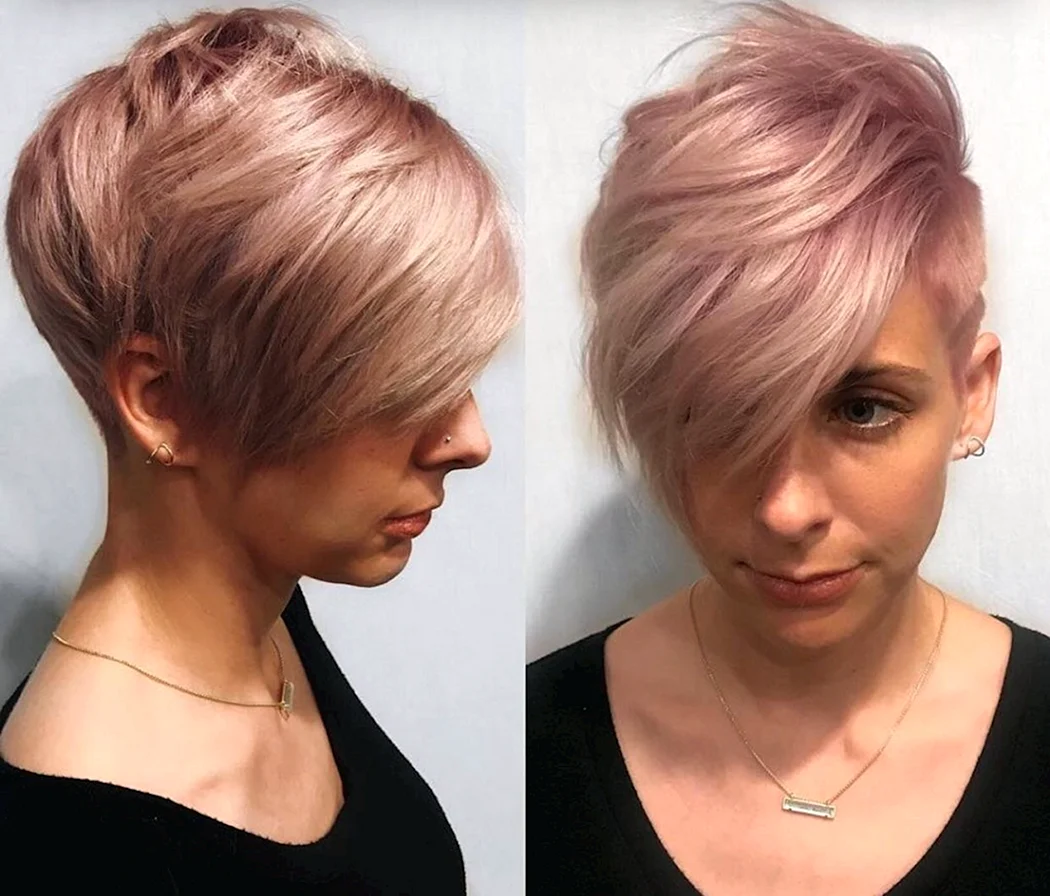 Пикси Боб розовый блонд