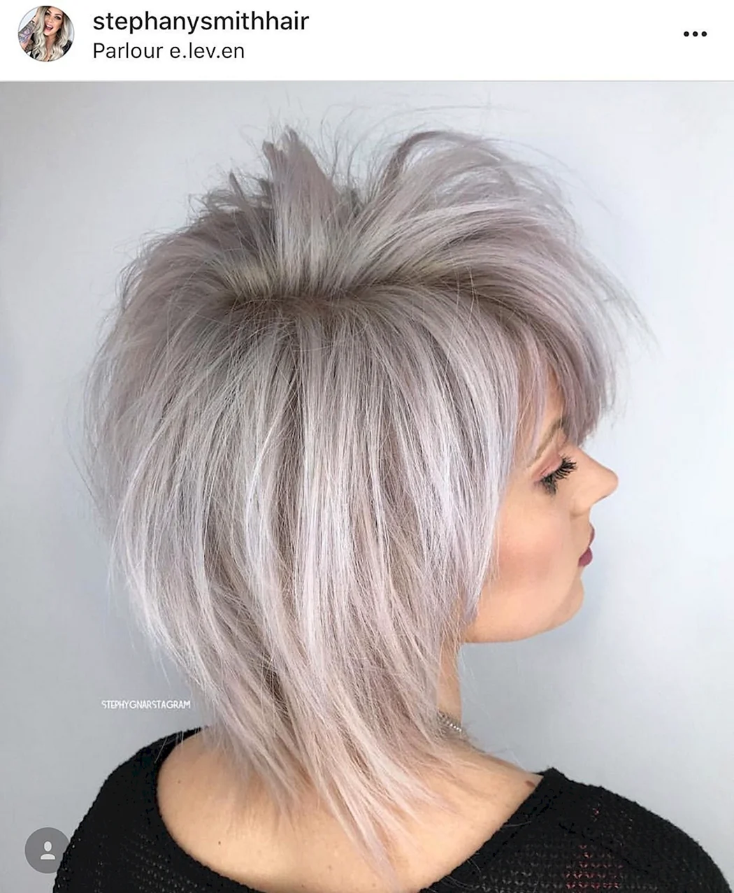 Пикси-Боб средние волосы пепельный