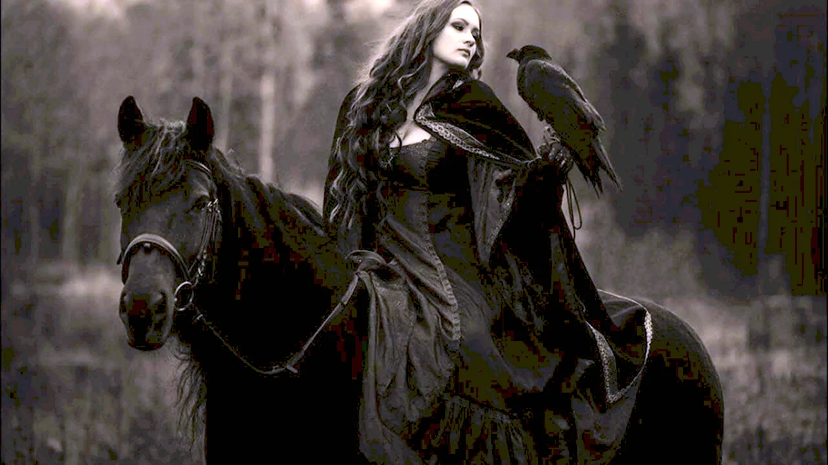 Девушка на черном коне