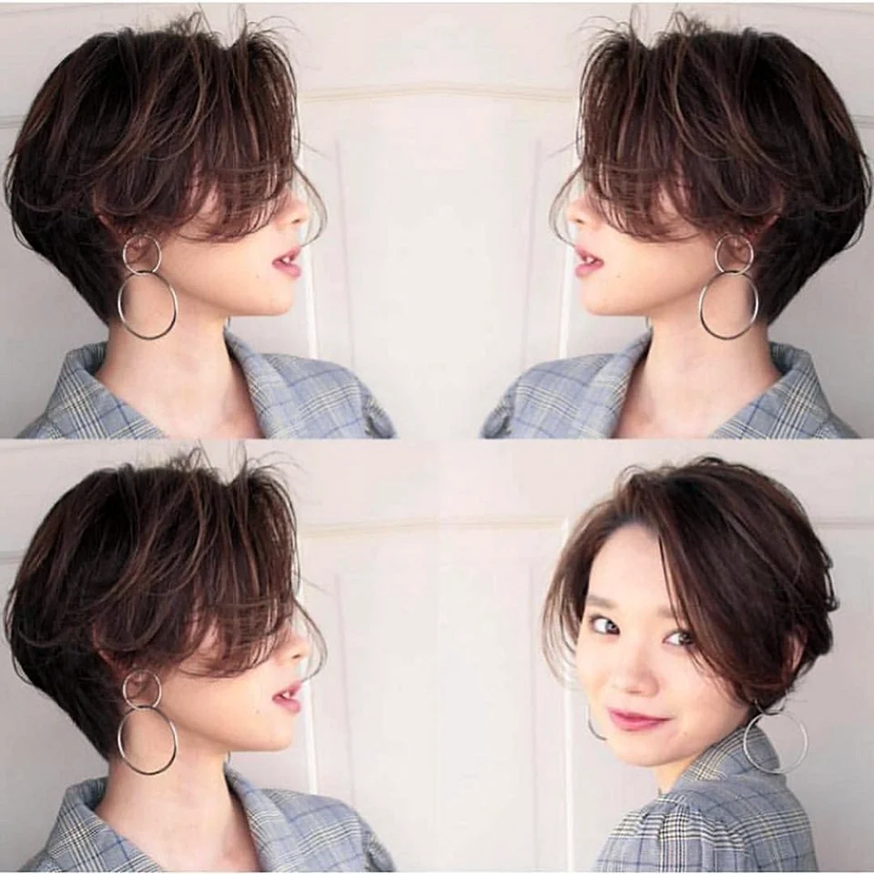 Пикси-Боб стрижка Корея