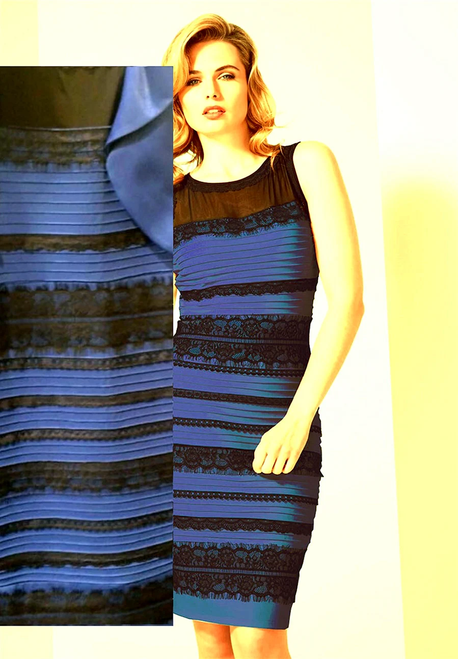 White and Gold and Blue and Black Dress