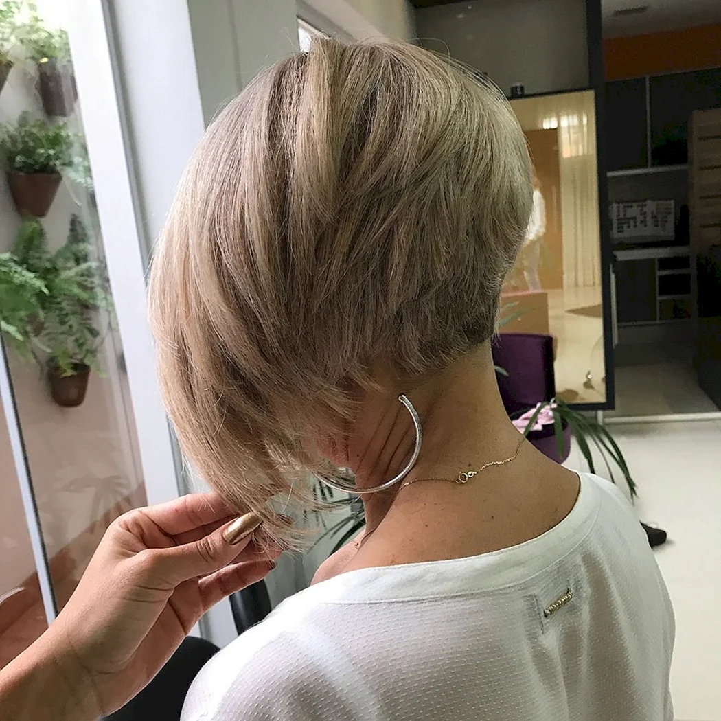 Градуированная стрижка Пикси Боб