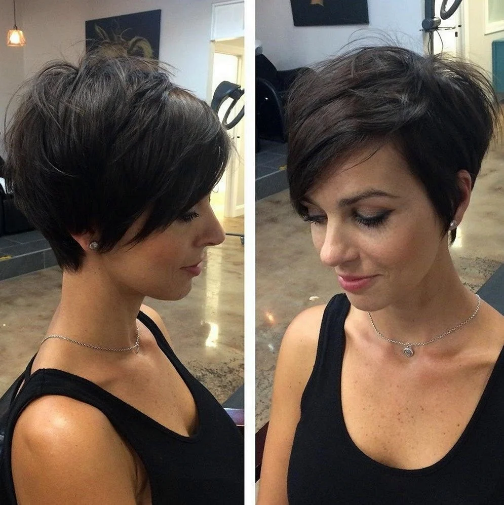 Стрижка Лонг пиксибоб