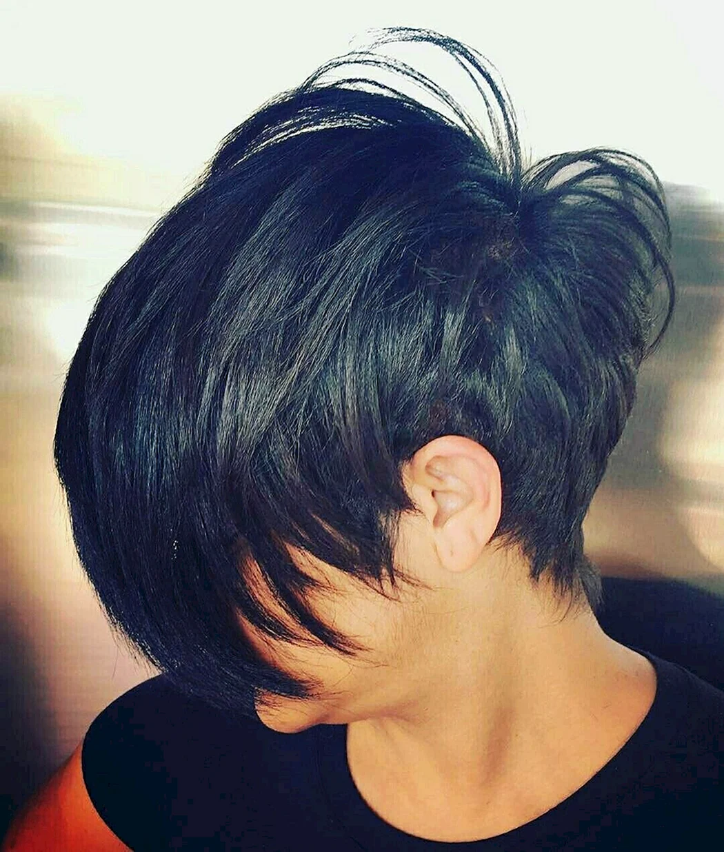 Пикси Боб затылок