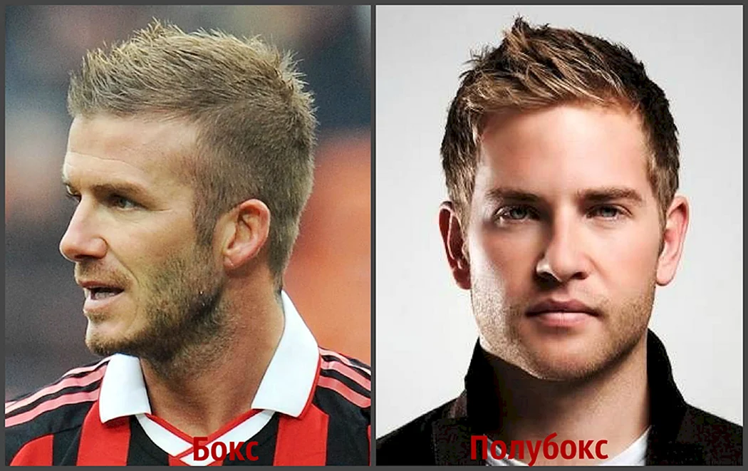 Бокс и полубокс