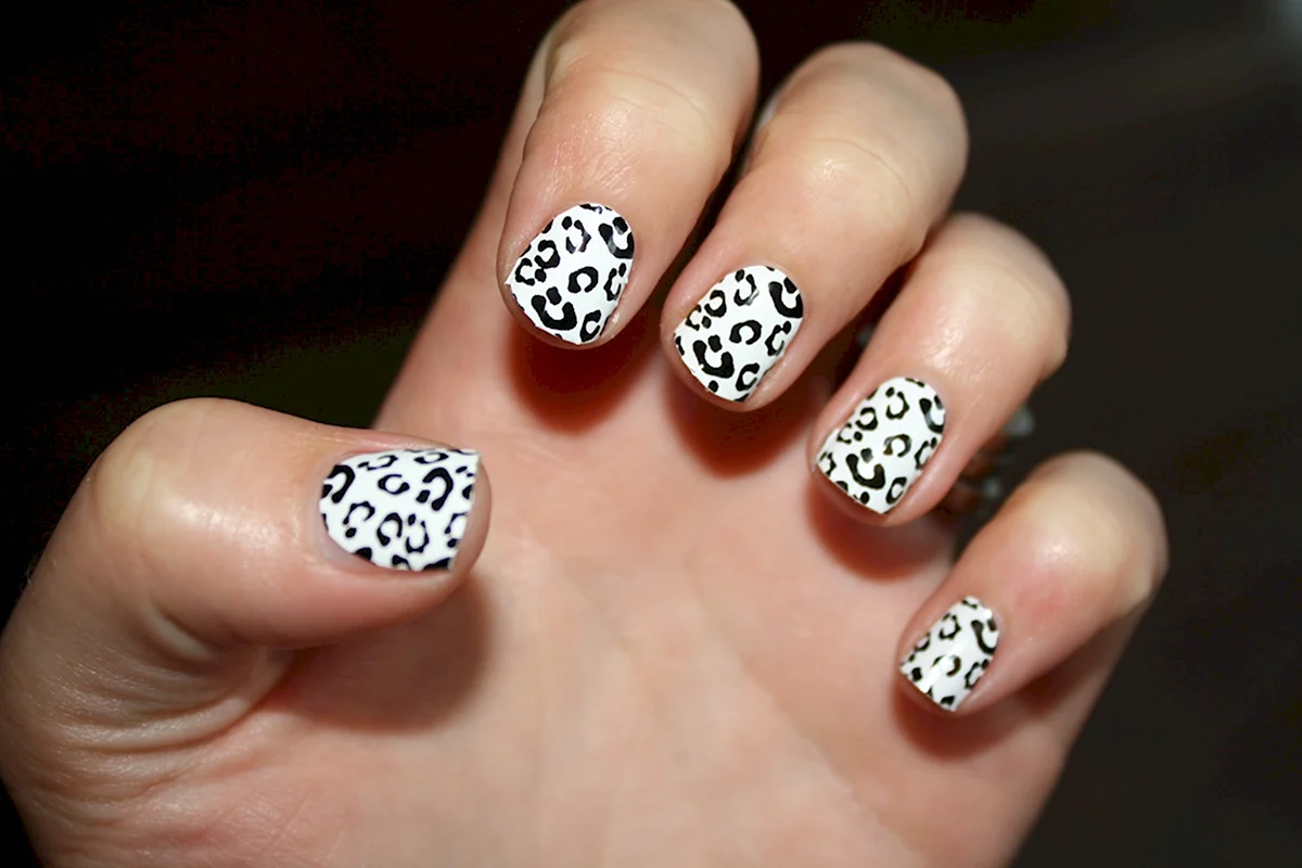 Маникюр черный белый леопардовый