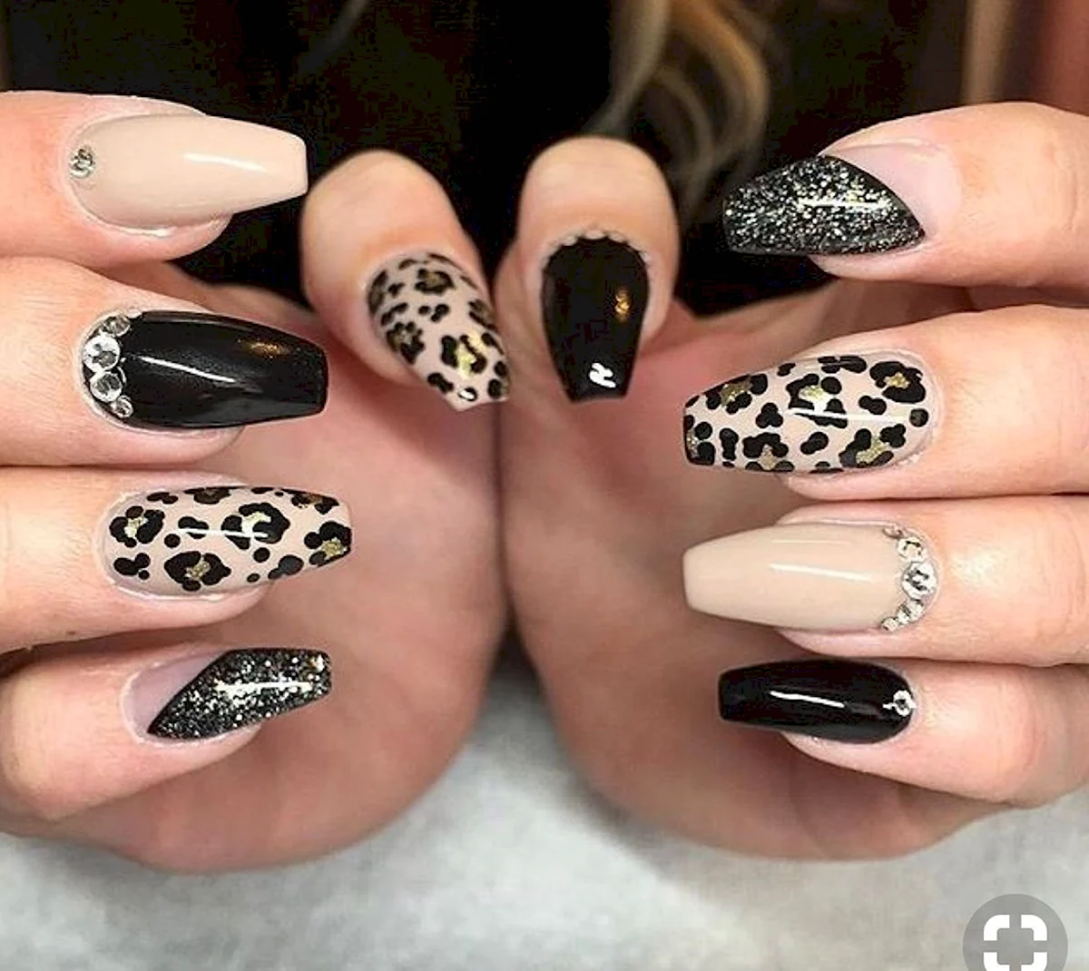 Френч леопардовый 2022