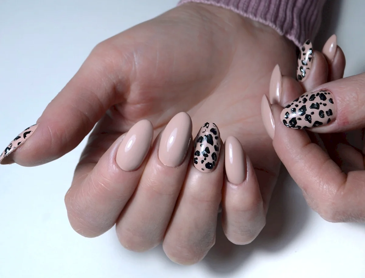 Френч леопардовый 2022